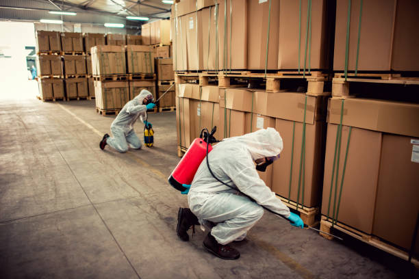Pest Prevention Services in Apalachicola, FL