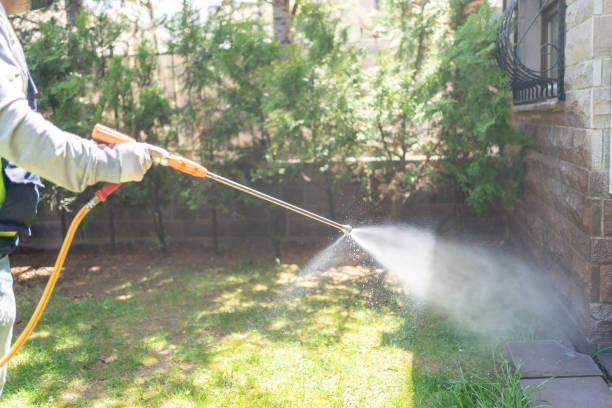 Best Local Pest Control Services  in Apalachicola, FL